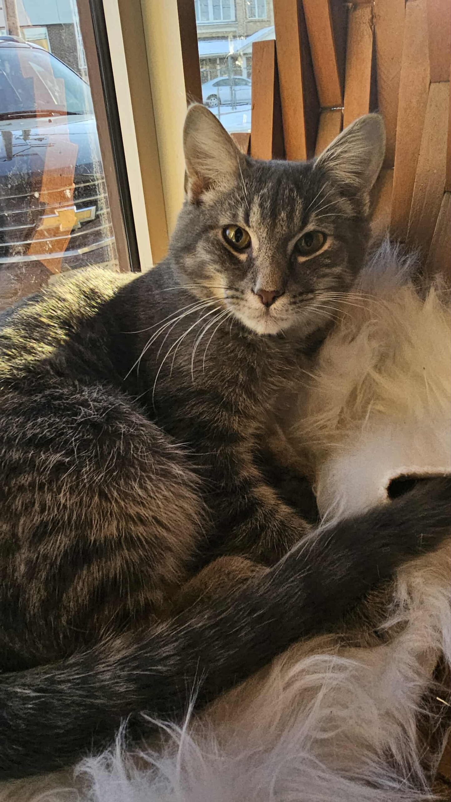 b29ced3f-6d3b-4f60-899a-a5b23af22d5e (1)