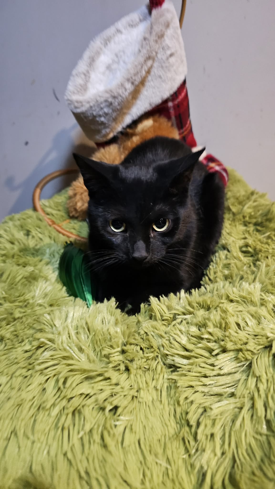 be853dc5-4734-486b-8f07-877923b84a65