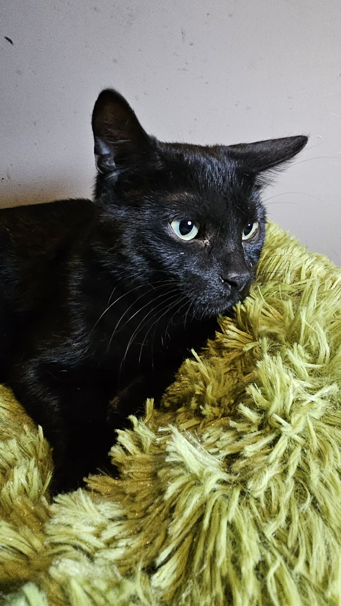 ee7af006-0e08-4924-9bbc-e48df53e05ce