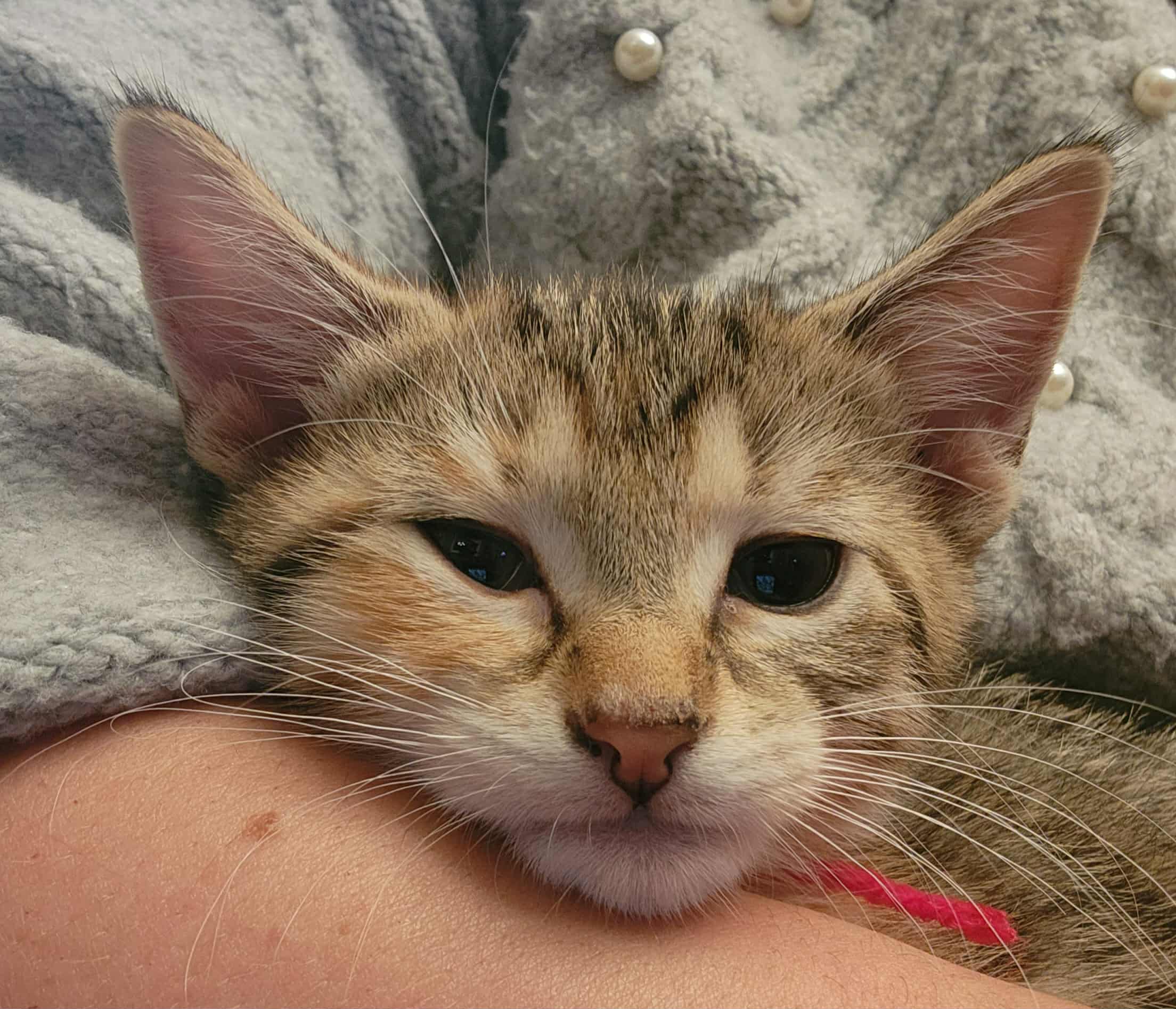 207cc6b1-1b93-4442-b7dc-ae5e8f66422c (1)