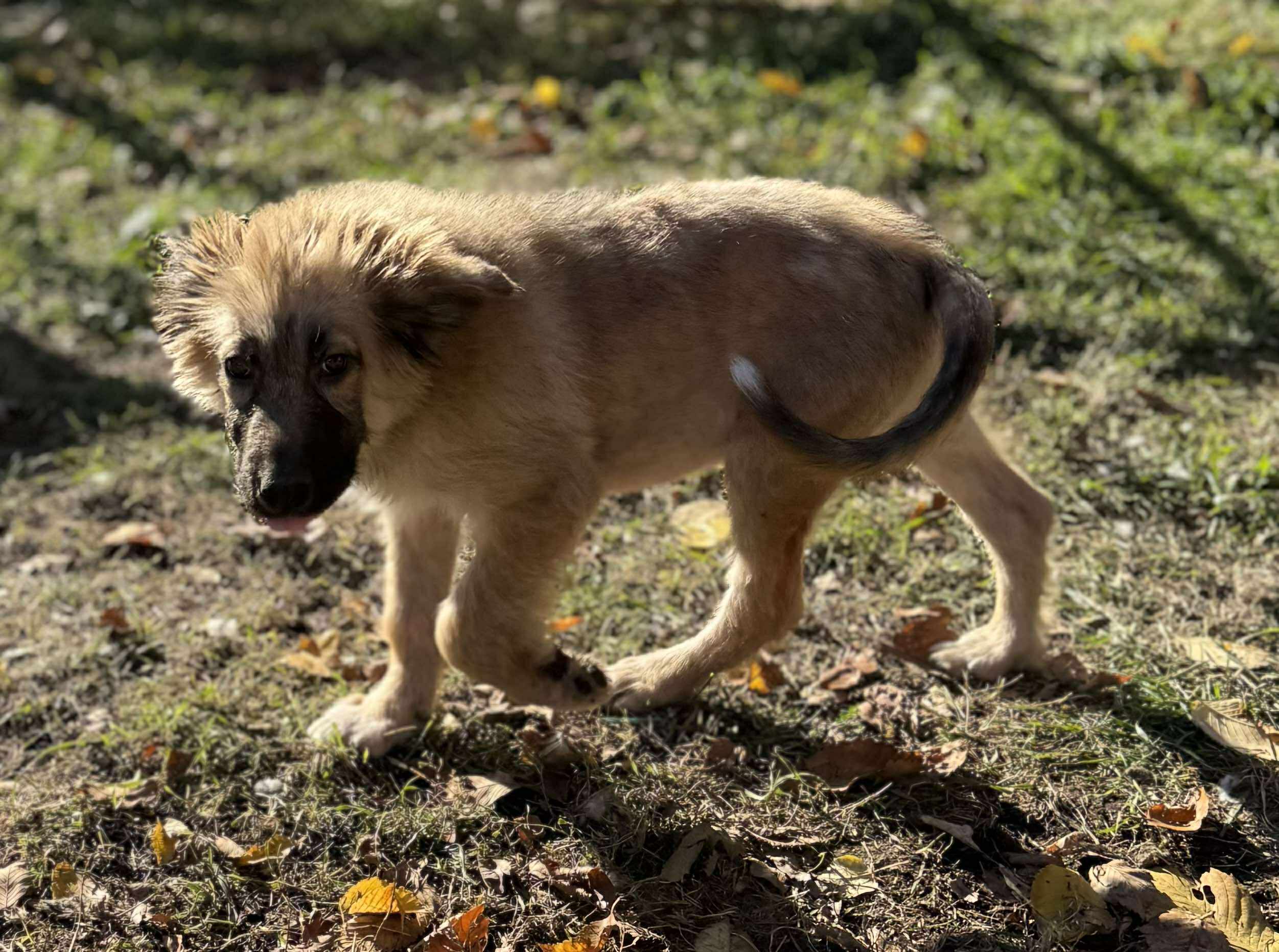 566510329_1801115263852461_4092028773079512563_n