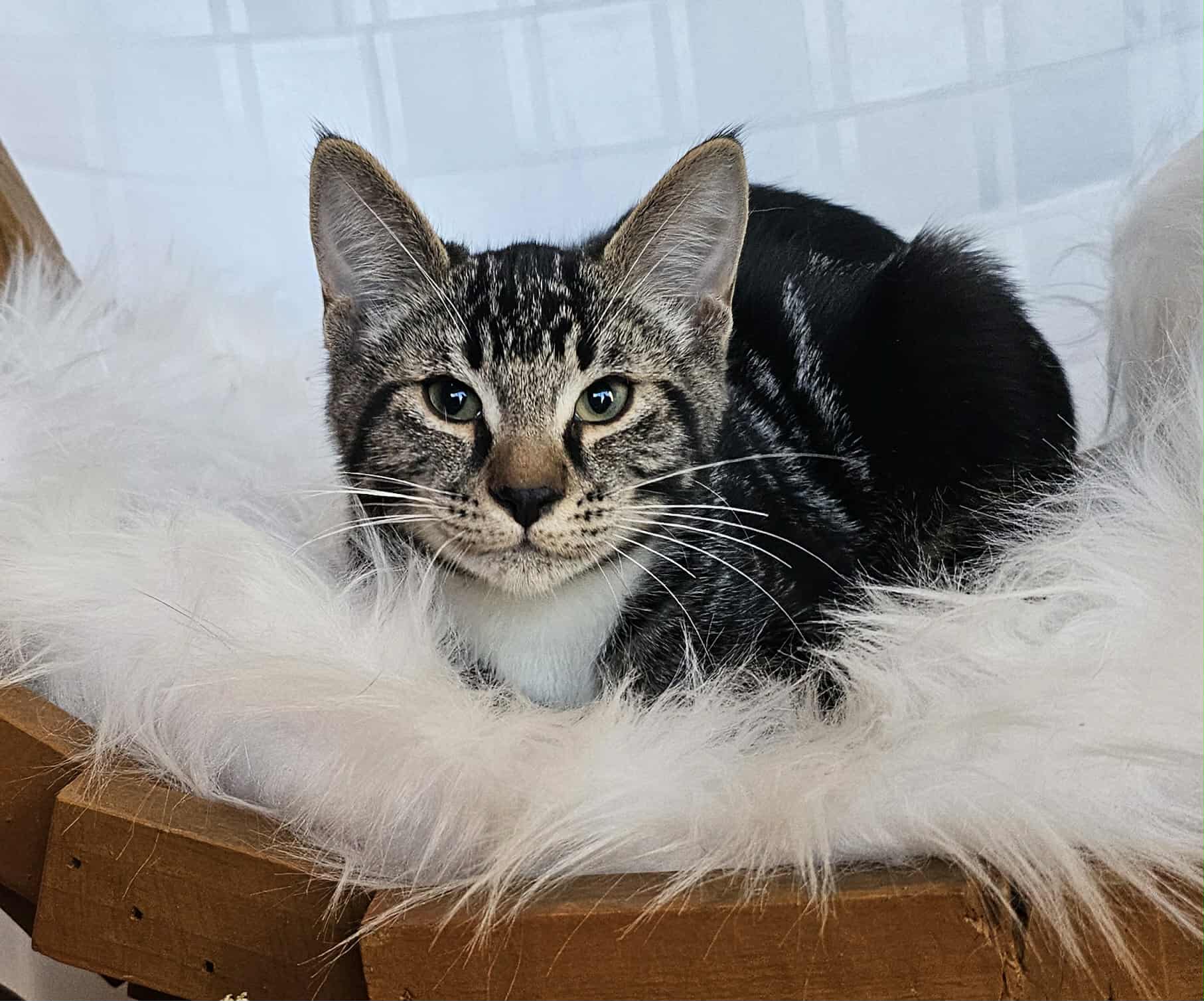 a21a44fa-b072-4ede-b10f-bb618b8bfad3