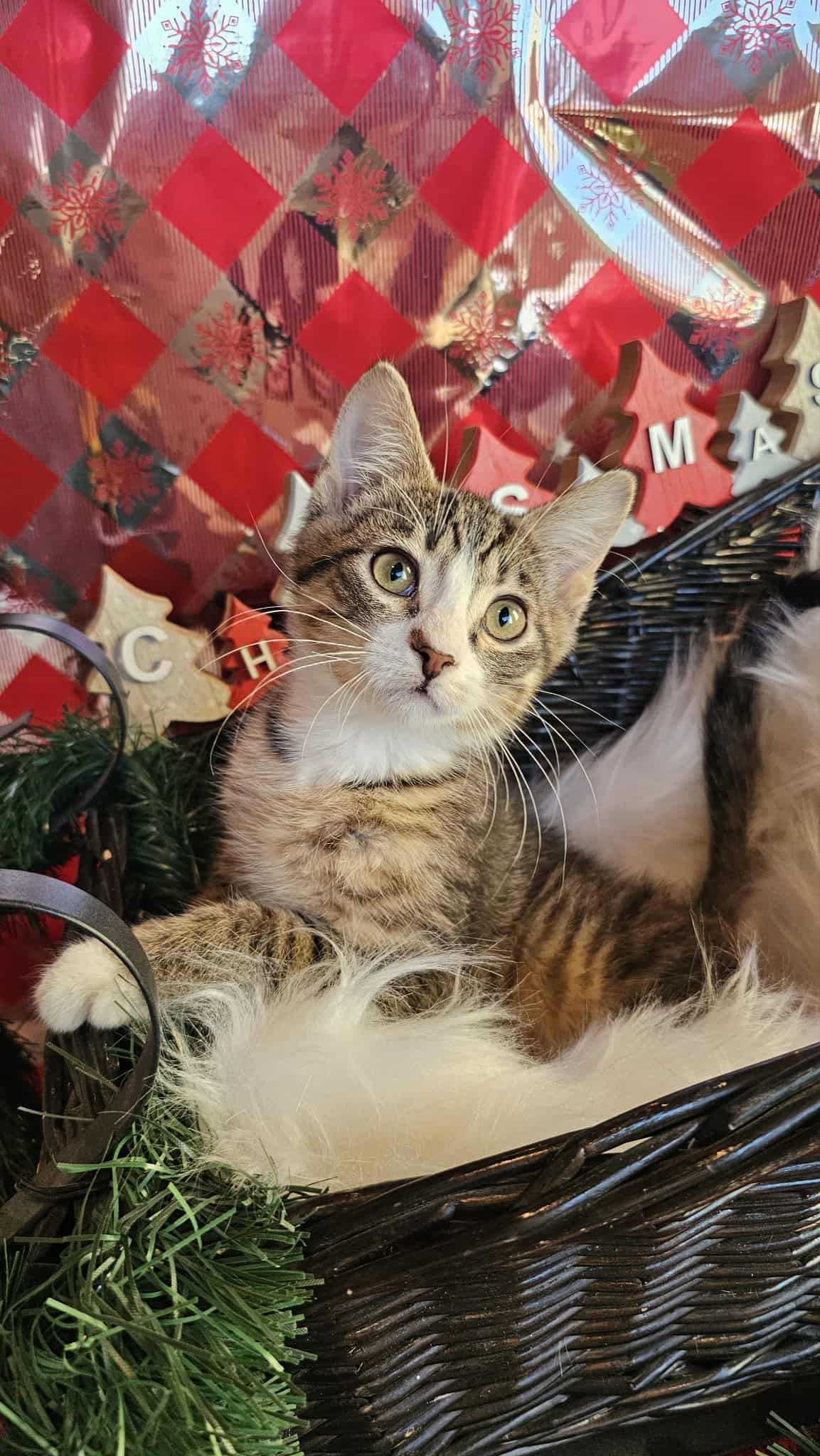 c21663ae-9bac-4ac9-a6b5-e2e8de06bb0d