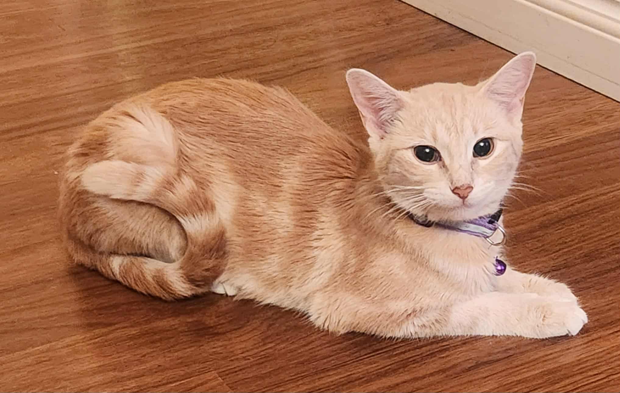 d9d363db-97f5-4b17-af17-a7cf7f72ff4d