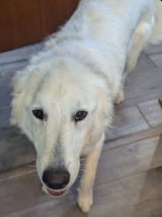 26ceaad4-5dae-4b8c-837a-c354cb22fe90