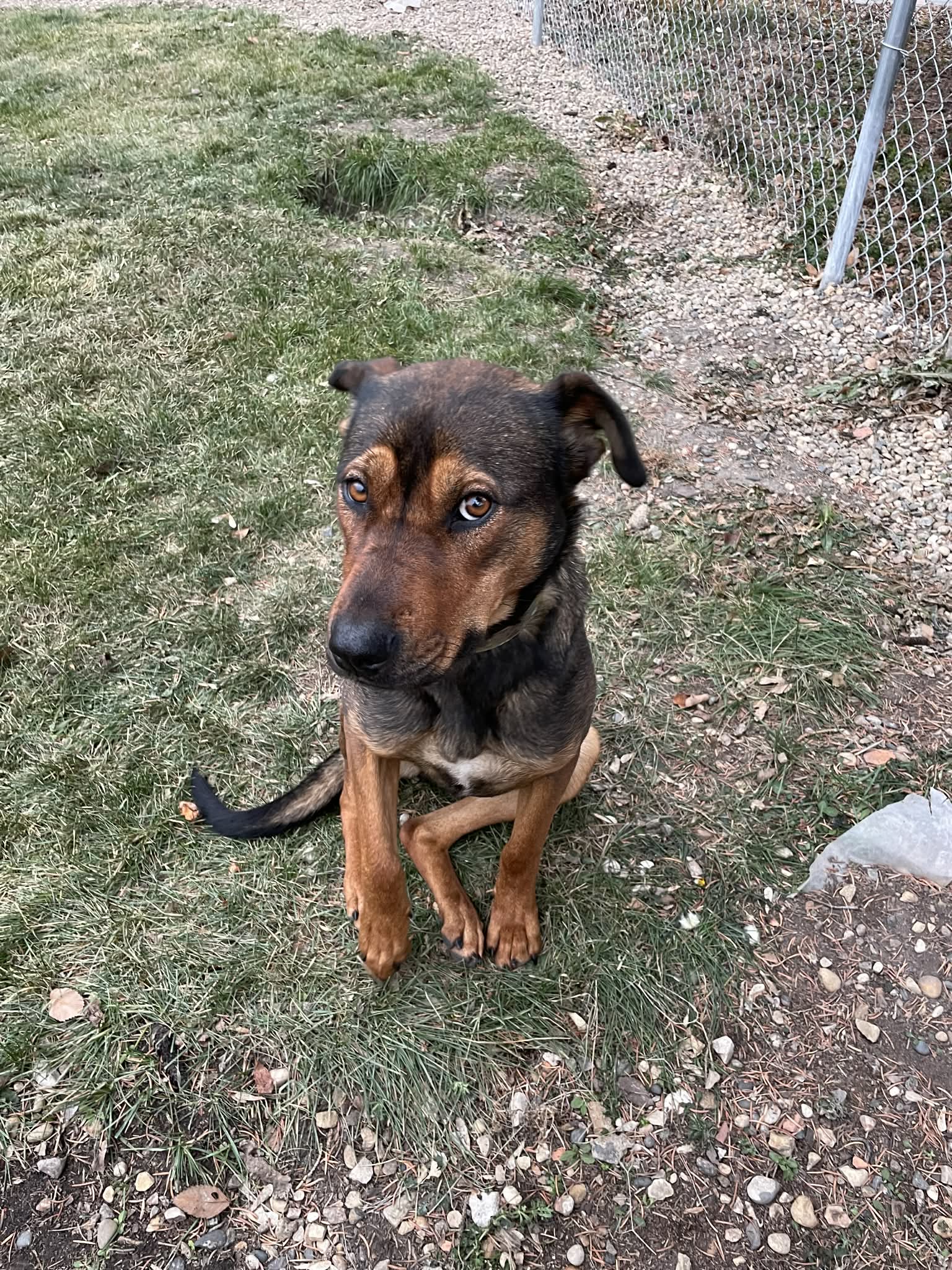 42f5193d-3cd1-4349-b3eb-93ebf0e5bc0f