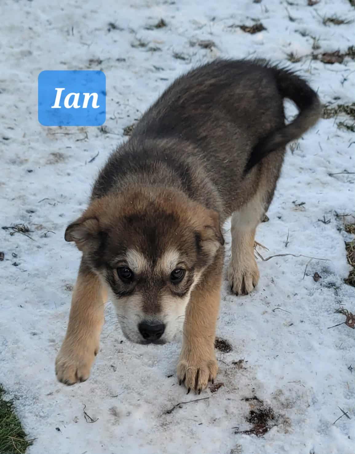 8522391f-9802-45c5-befc-f31e7c2fccbe