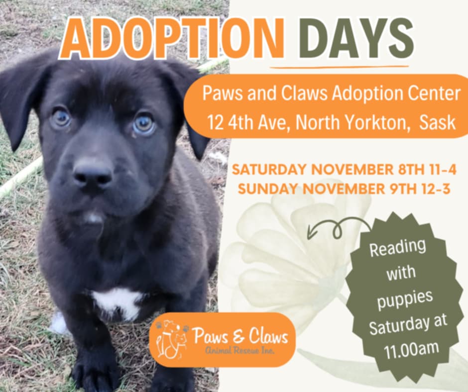 b060ae12-9ce5-4617-9778-7e28bb8e6c3f