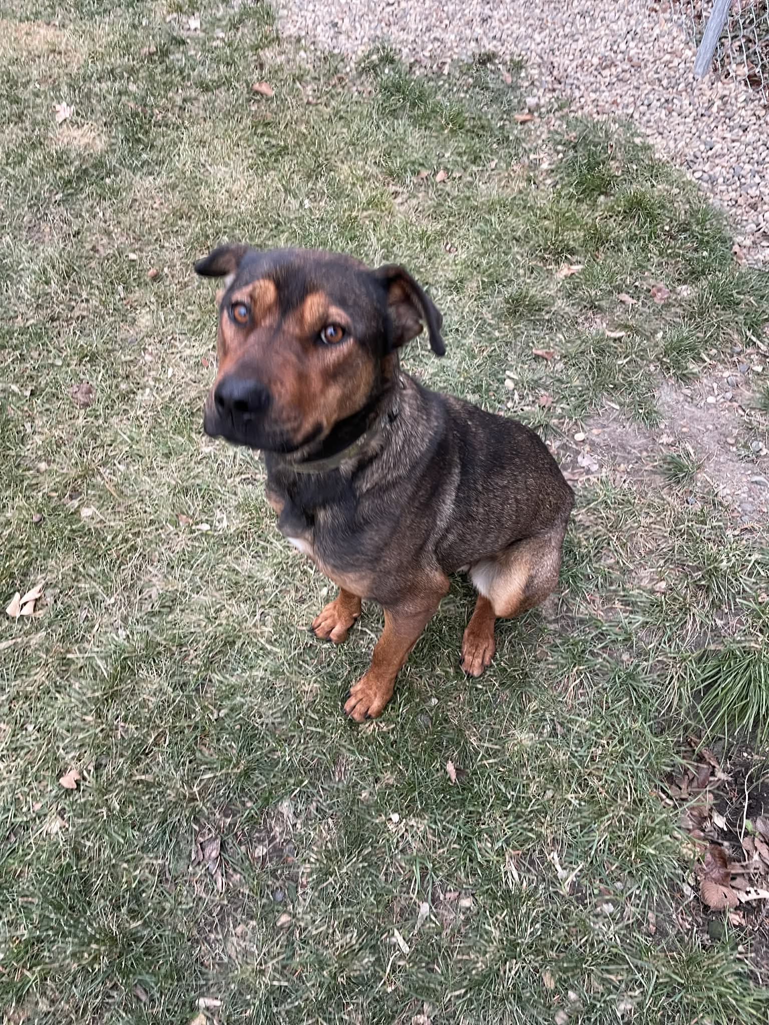 b27261a8-e4f0-4b8a-ab14-90c8d74dcb7b