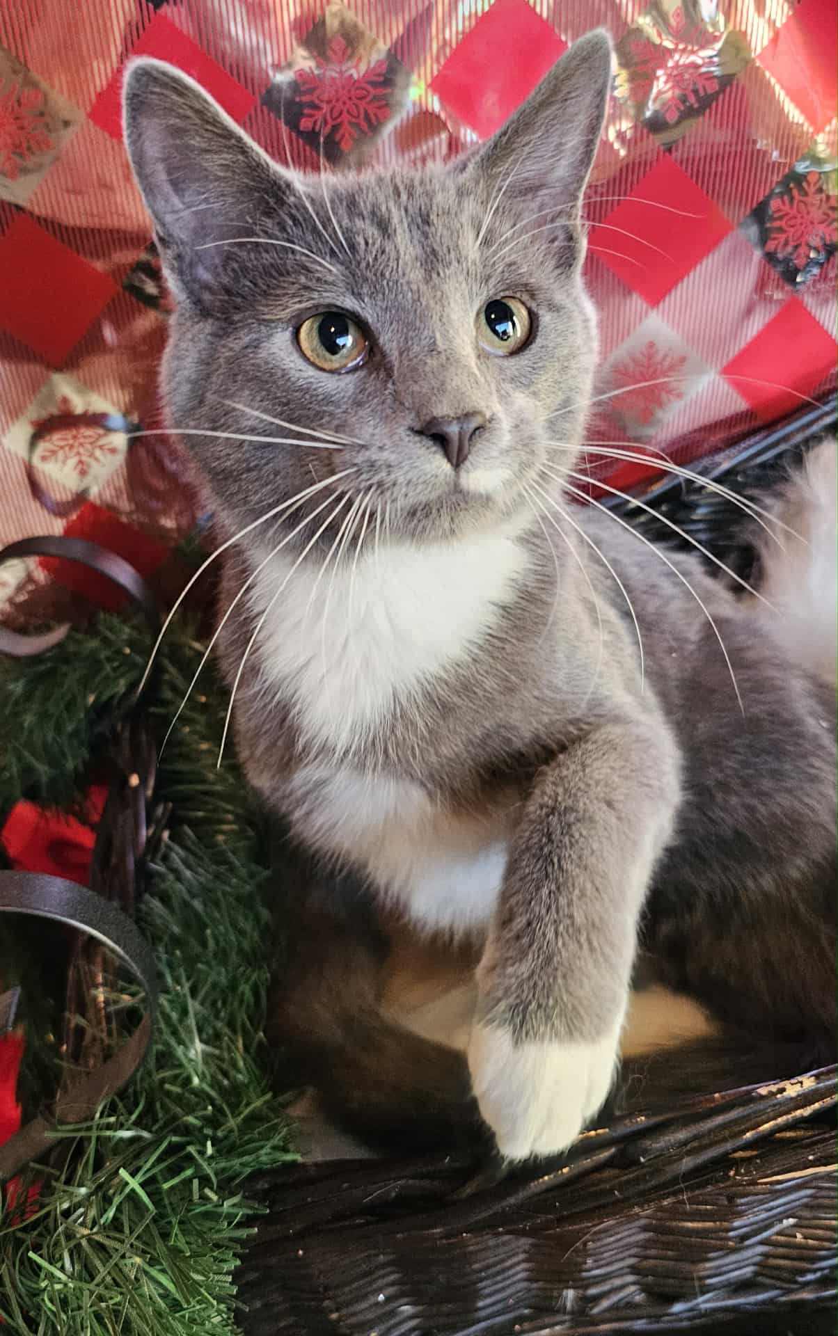 d1ba87f0-08f9-4ab1-b542-02e9fed503b3