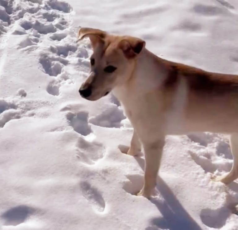 73cc8ccb-337e-43de-b5cf-3b3388f8cbda