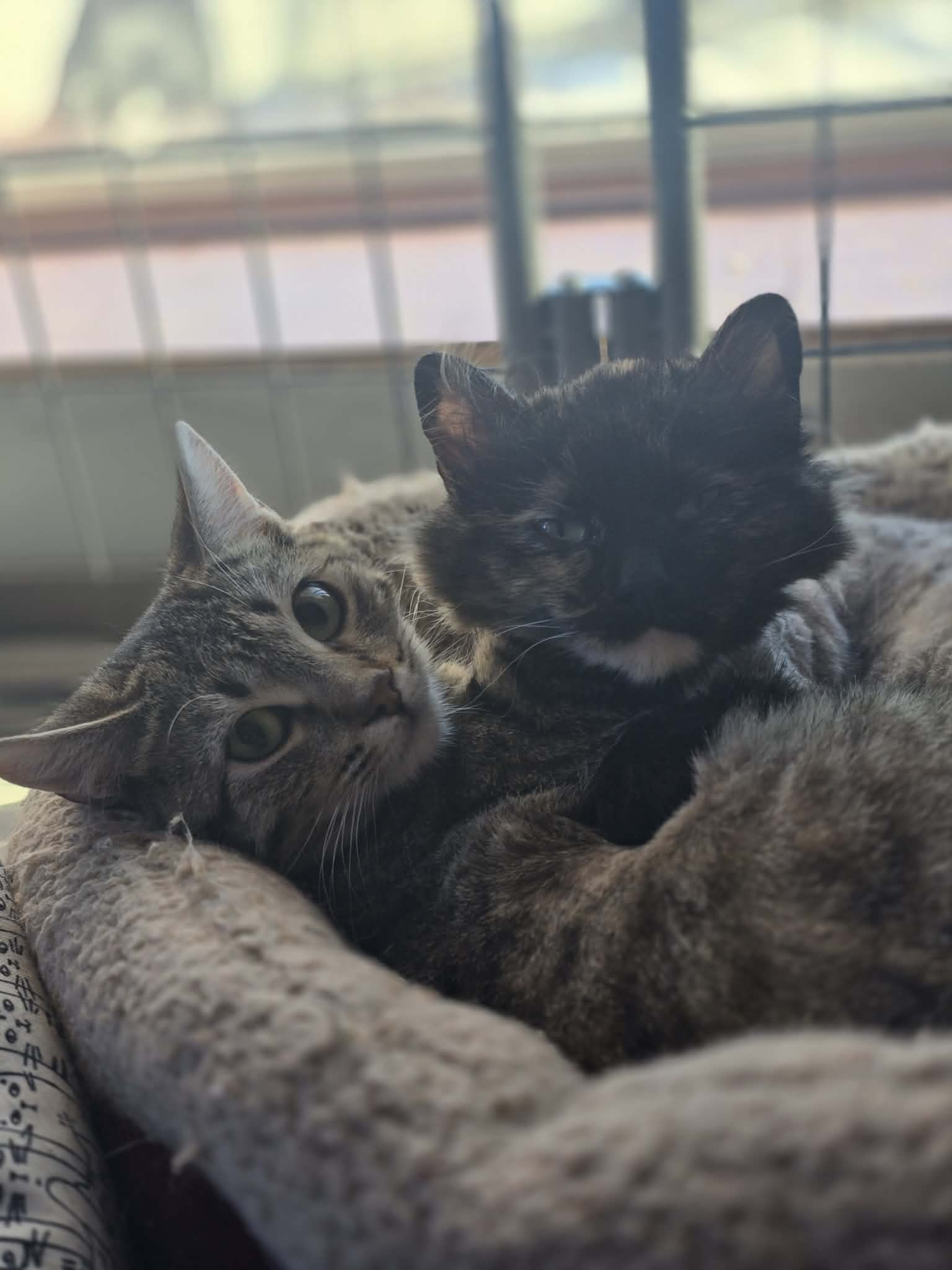 16350ad3-7887-42e5-b634-85df9f5ce5e4