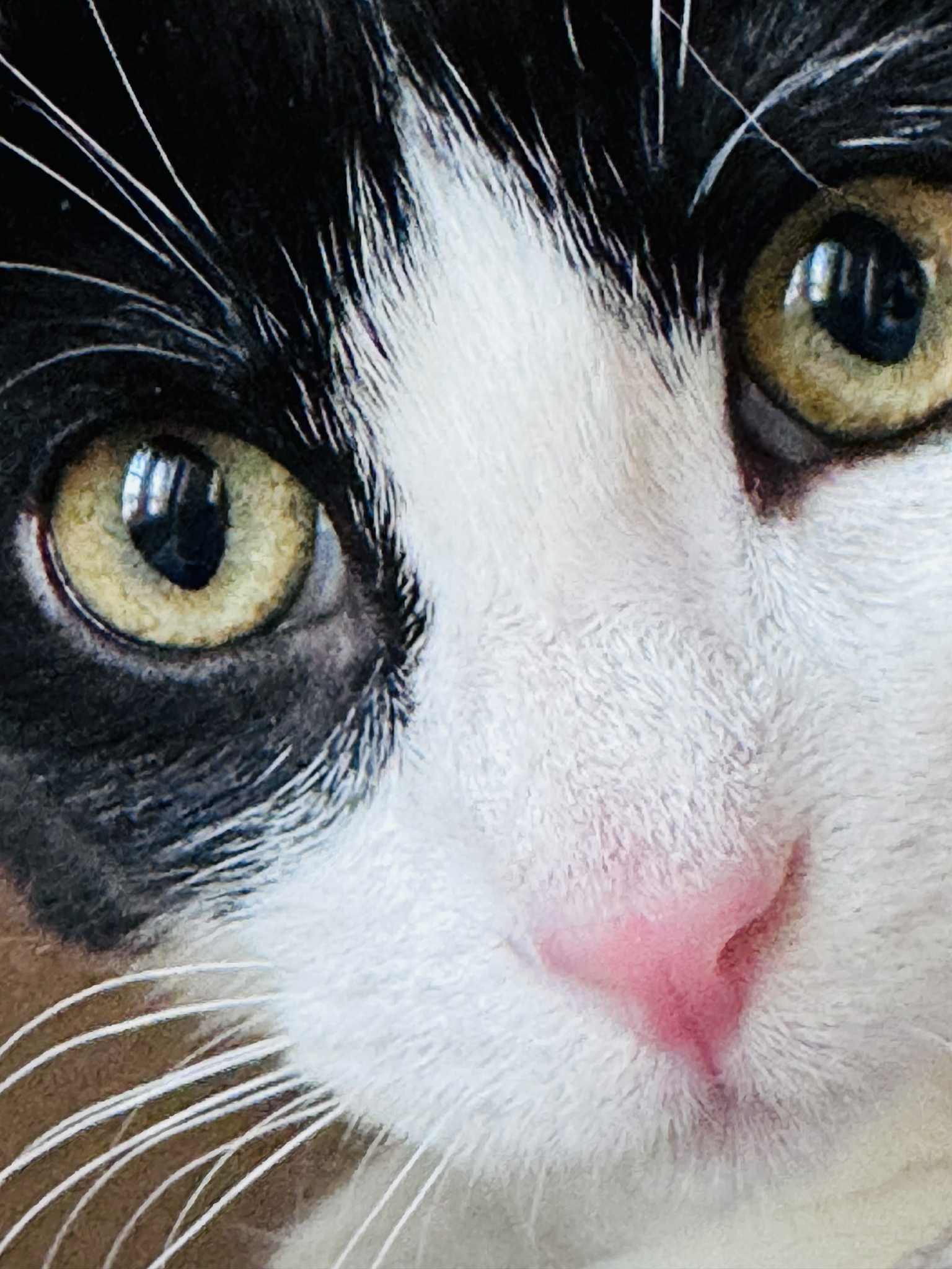 3587ea25-0898-4b85-bebe-8587f55c654b