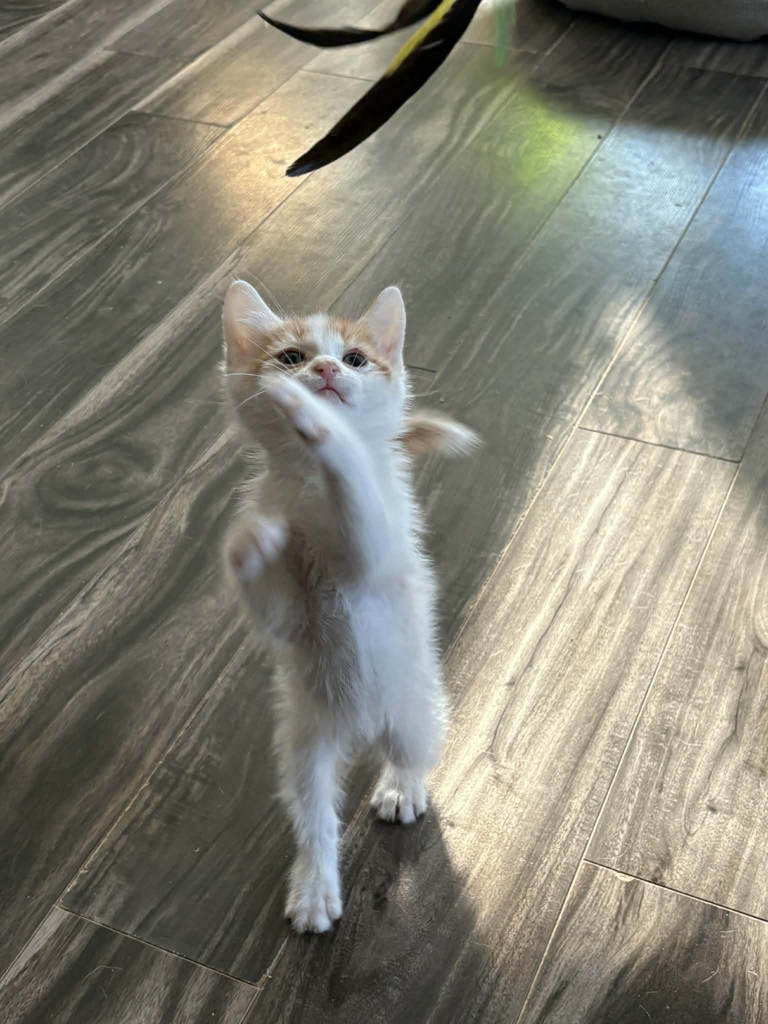 7a68fa21-a91f-4e14-86ab-9726e1677be8