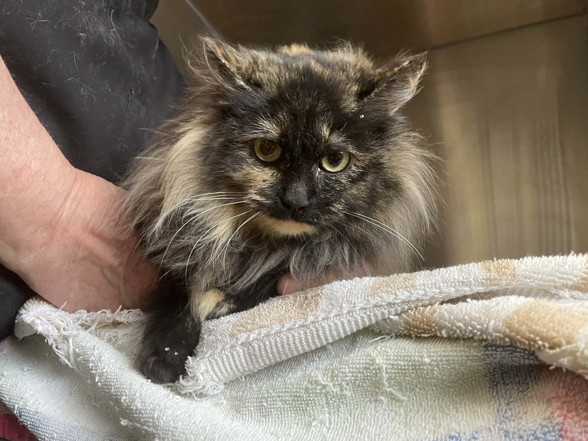 9a80cba6-0466-41cc-8c9a-216b9bed9360 (1)