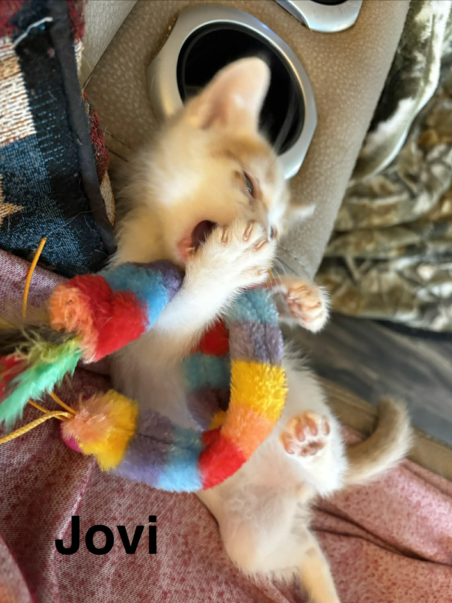 9e3fa107-2dd8-4b75-952c-07b517e65f6f