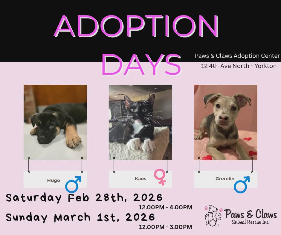 a0130b11-1c8c-4d92-be29-b627d31e5817