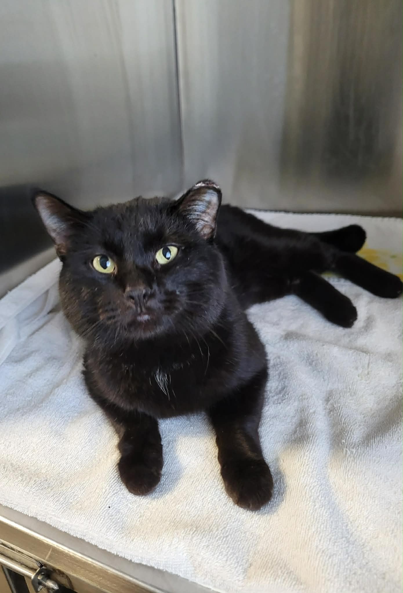 c79e5ce5-a215-4a2a-969c-74a9d4ebe420 (1)