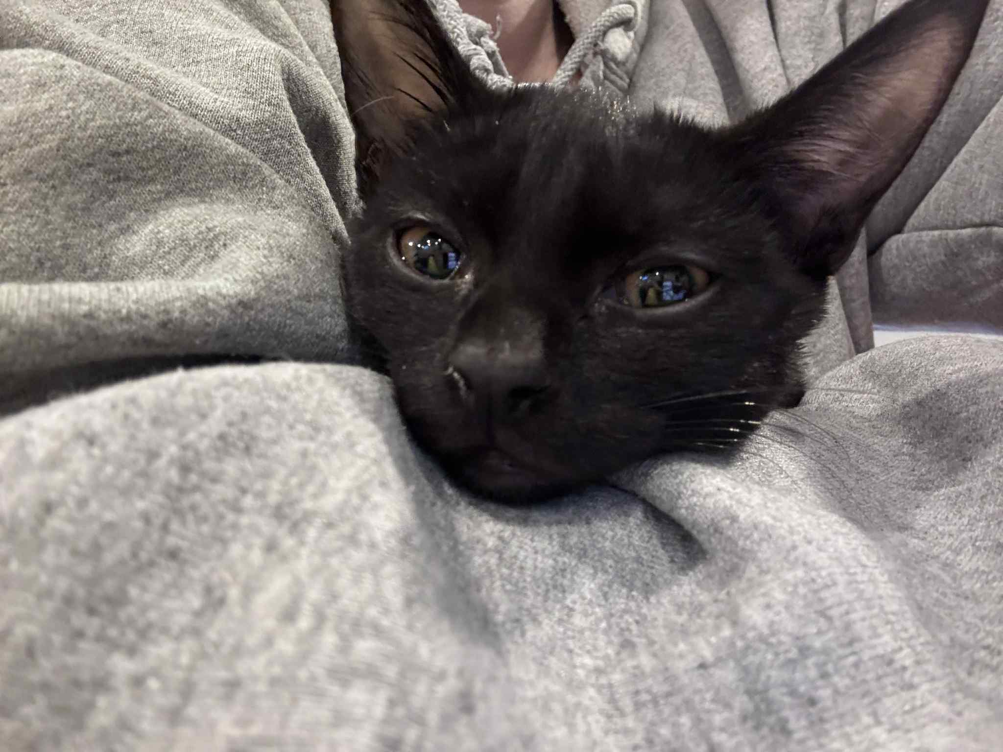 45740220-3985-4339-8a03-4af8eec2987a