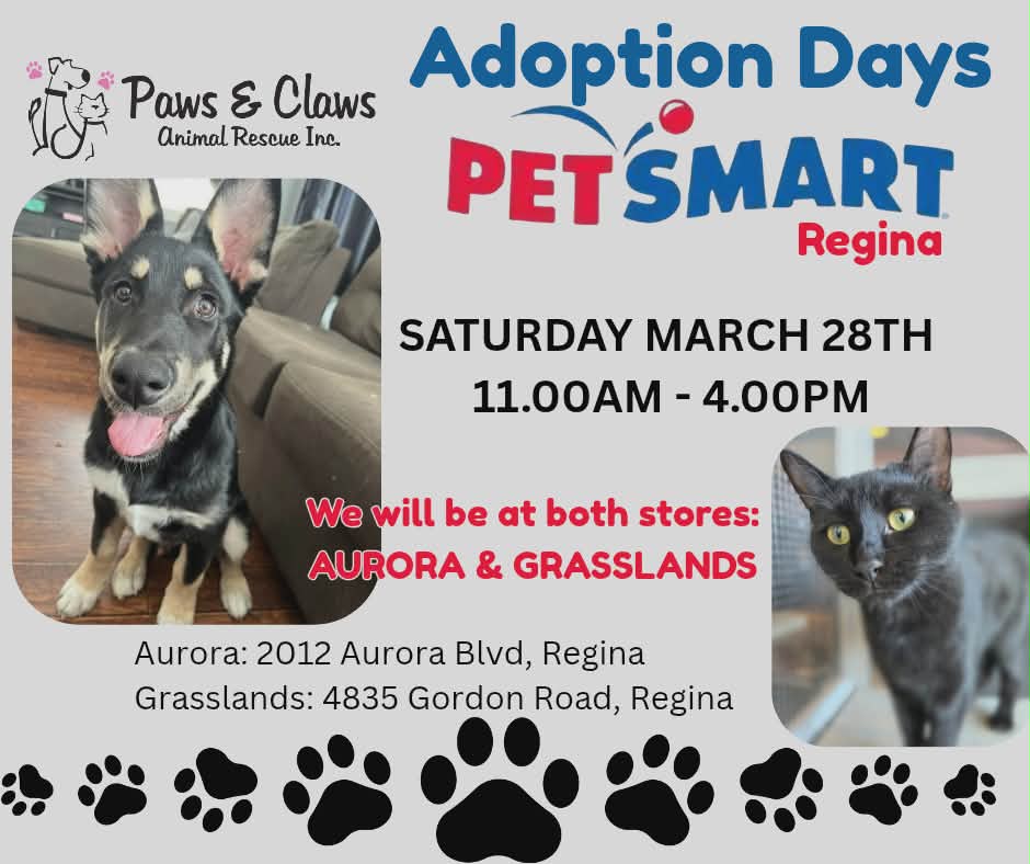 740a207c-d7d6-46f6-9332-3455549135f6