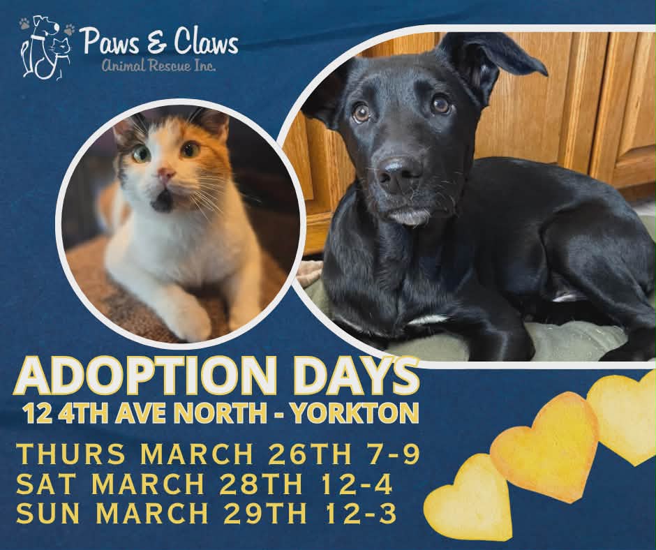 7ae82afe-a2c0-4d55-ae6b-77d4c3a8e6c9