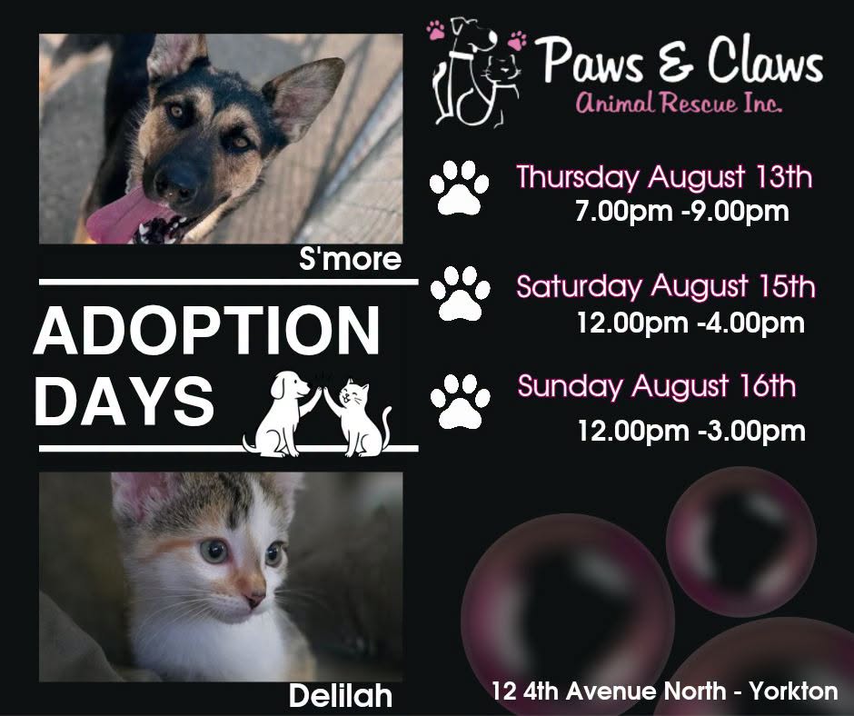 Adoption day