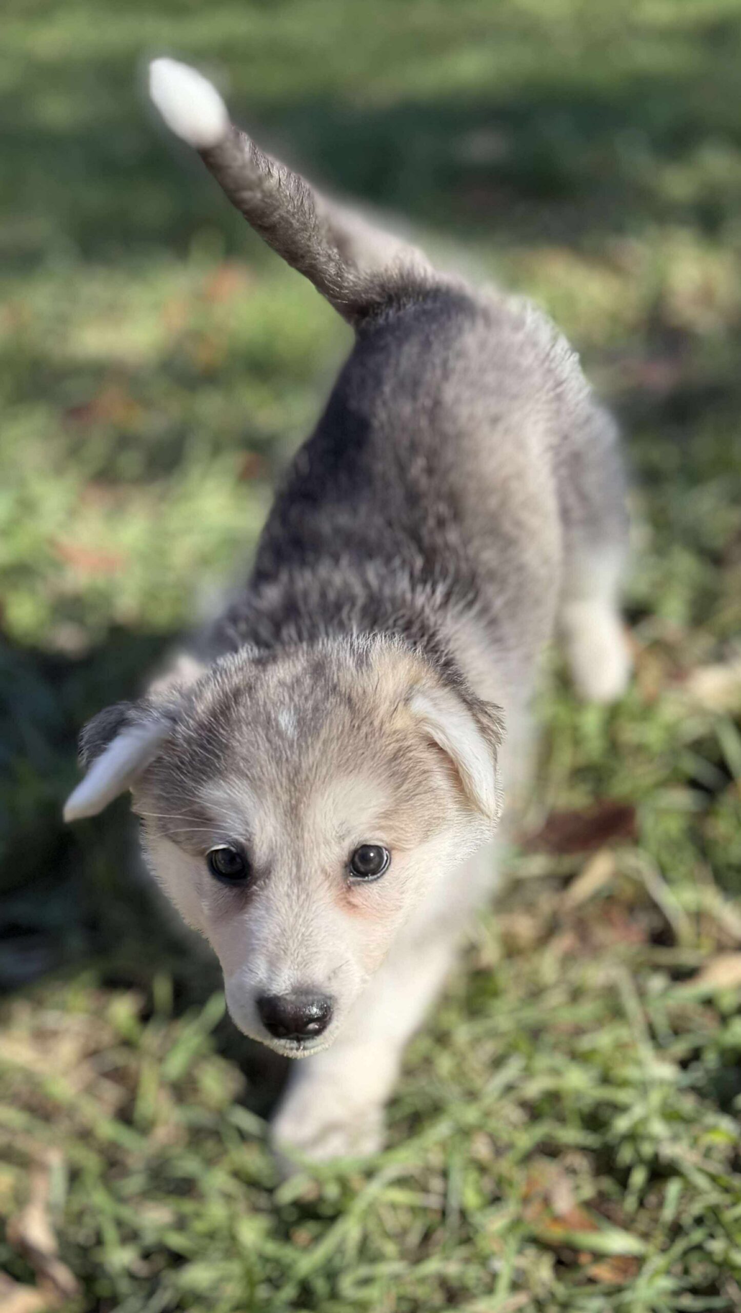 567186795_1490721935528604_548960760197400302_n