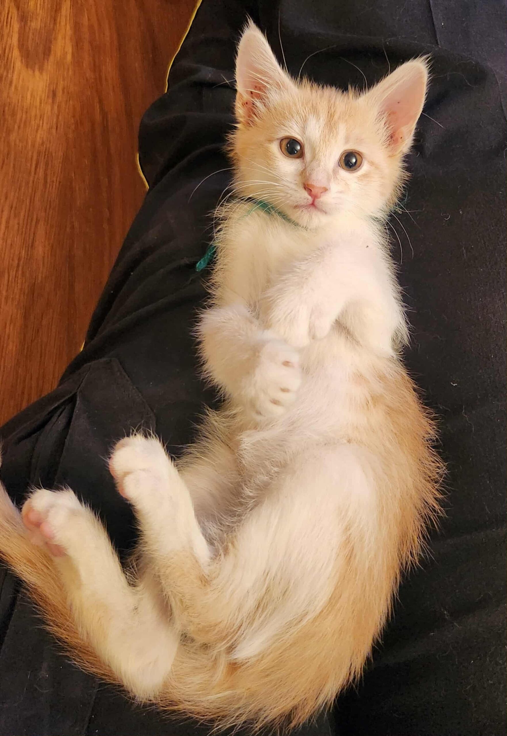 8651060e-e72f-4402-b0bb-9d4b933a2f85 (2)