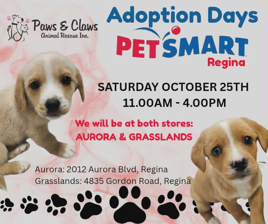 PetSmart Adoption Days