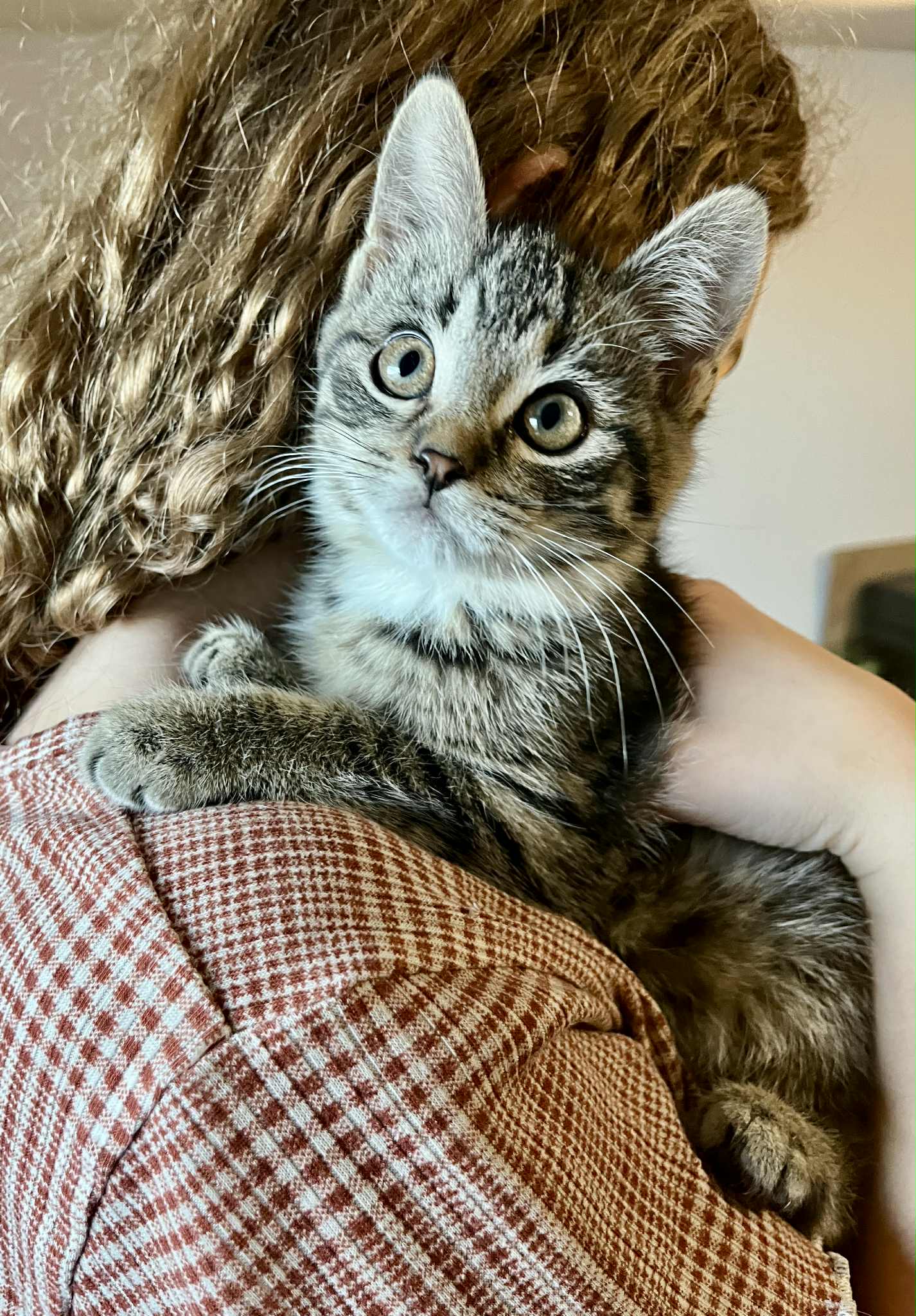 b53aa86f-5331-44f0-9f79-4e57cc885756