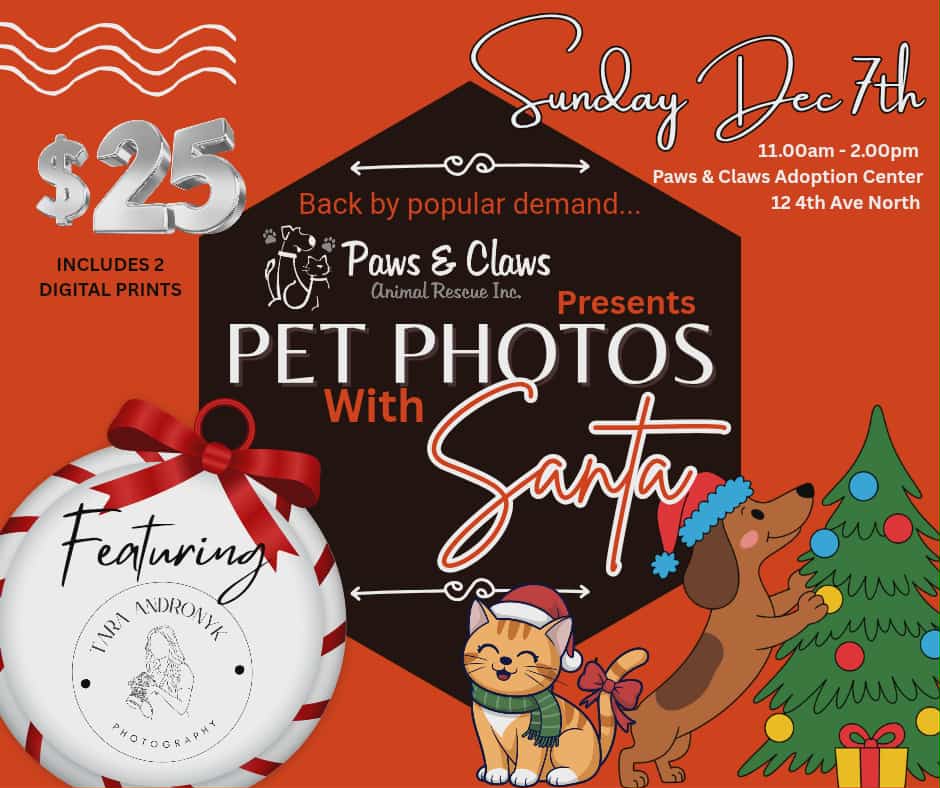 04bccfe2-ccab-430e-ad9a-f6e560b7fa27