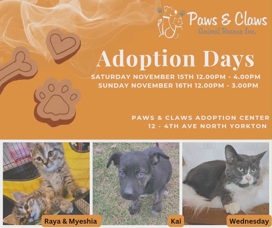 05632d5f-5a65-423b-bf4e-6a071e55d7d9