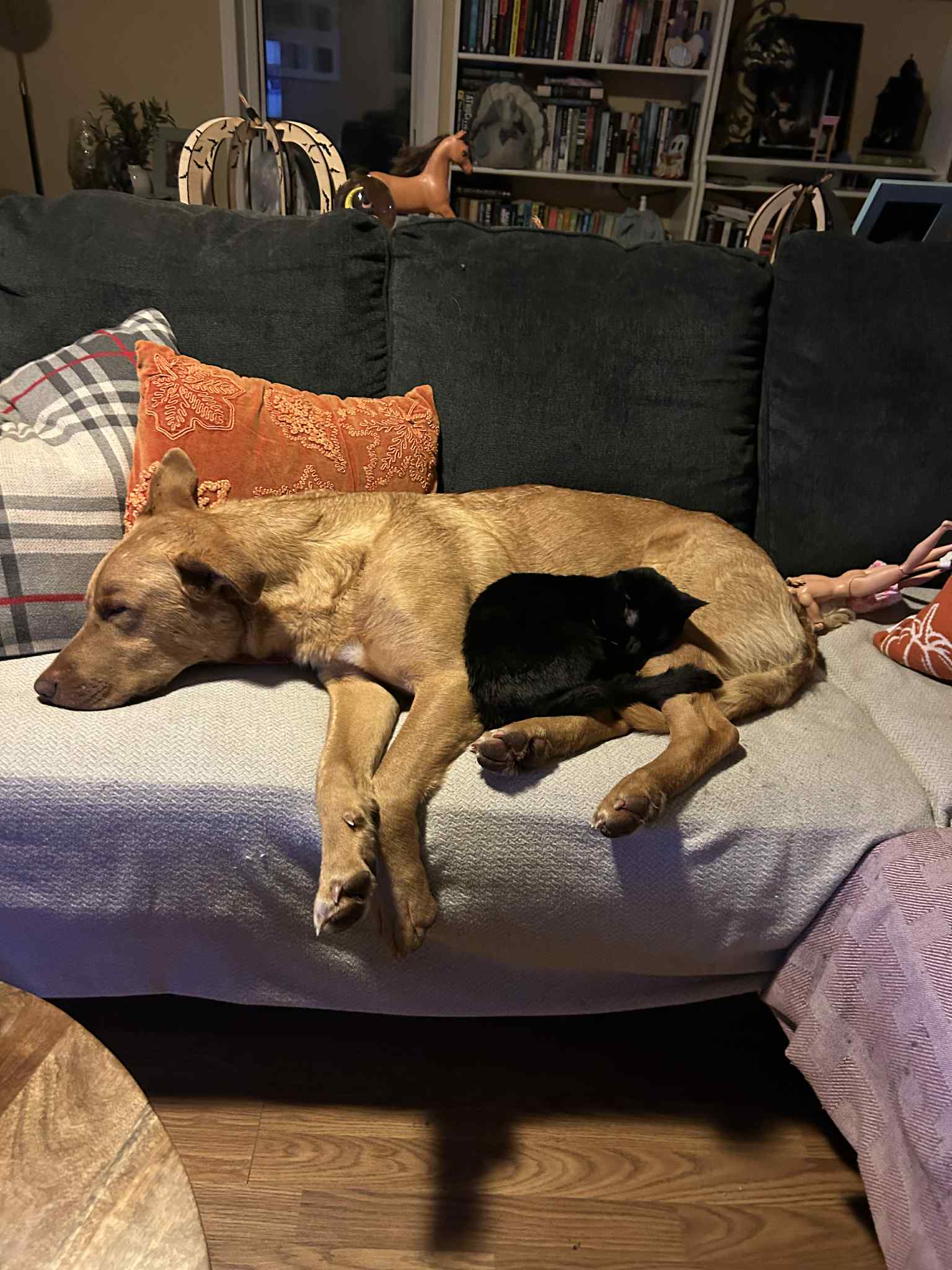 3a8836b3-0e36-48e5-939b-4fb9704166fc