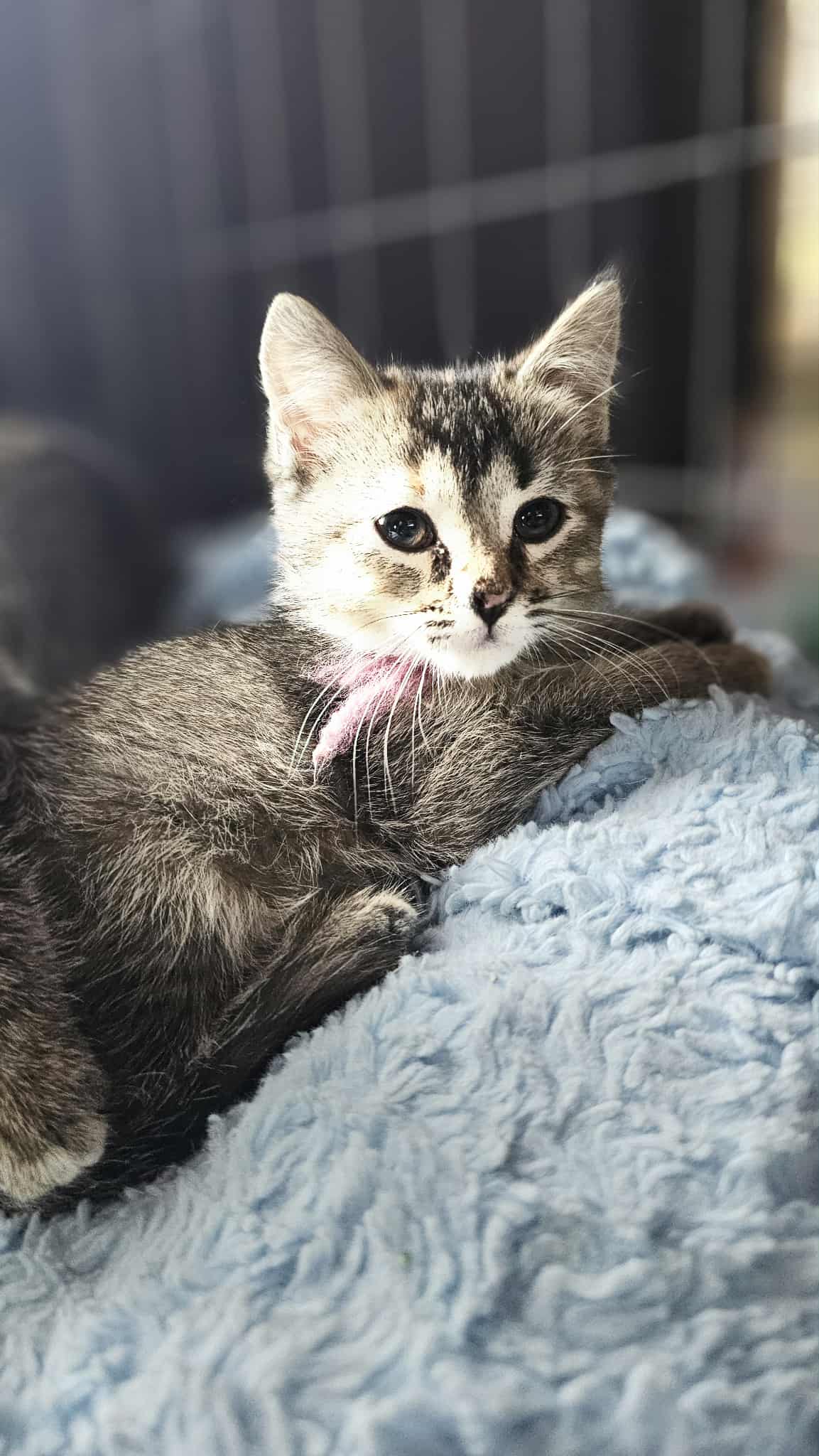 8a6acd6b-6496-464c-8825-4ea61a3fce7d