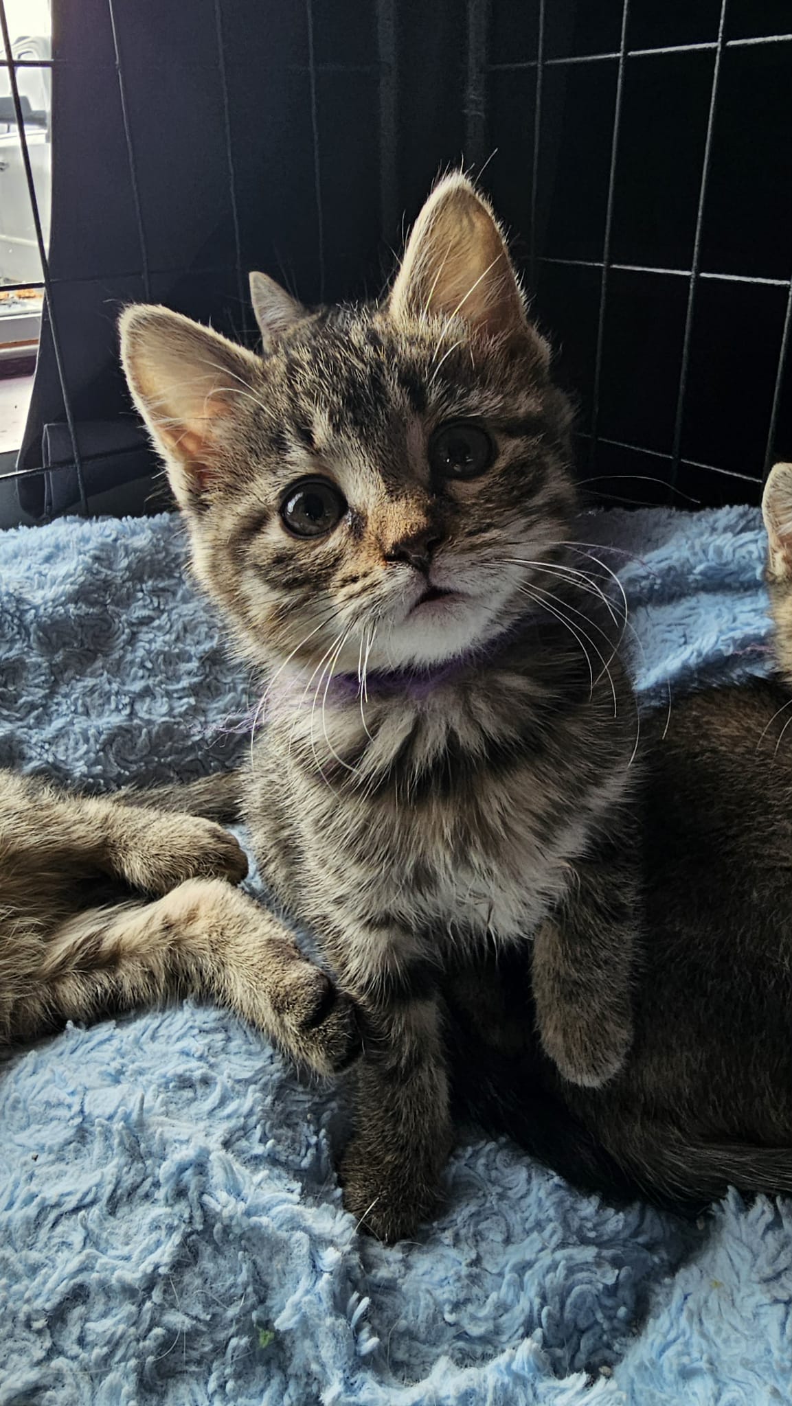 8fc0c757-2aa7-412d-bdc6-fe811bd80d02