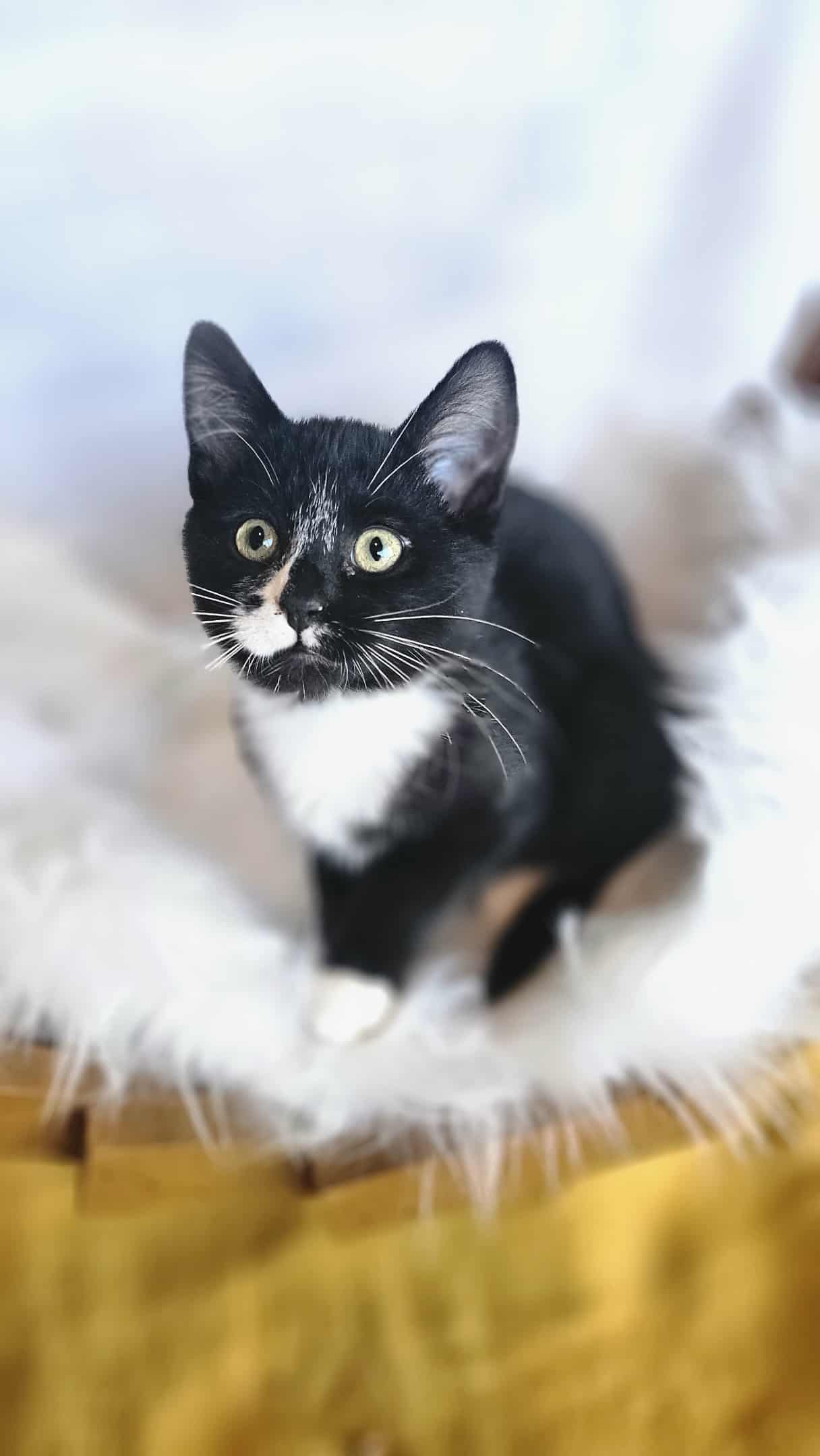 9eac5cfb-618d-49aa-91ed-798fcc9743ed (1)