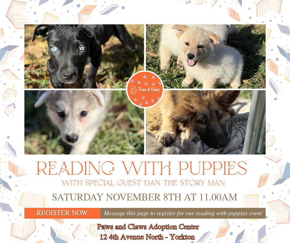 Reading with puppies