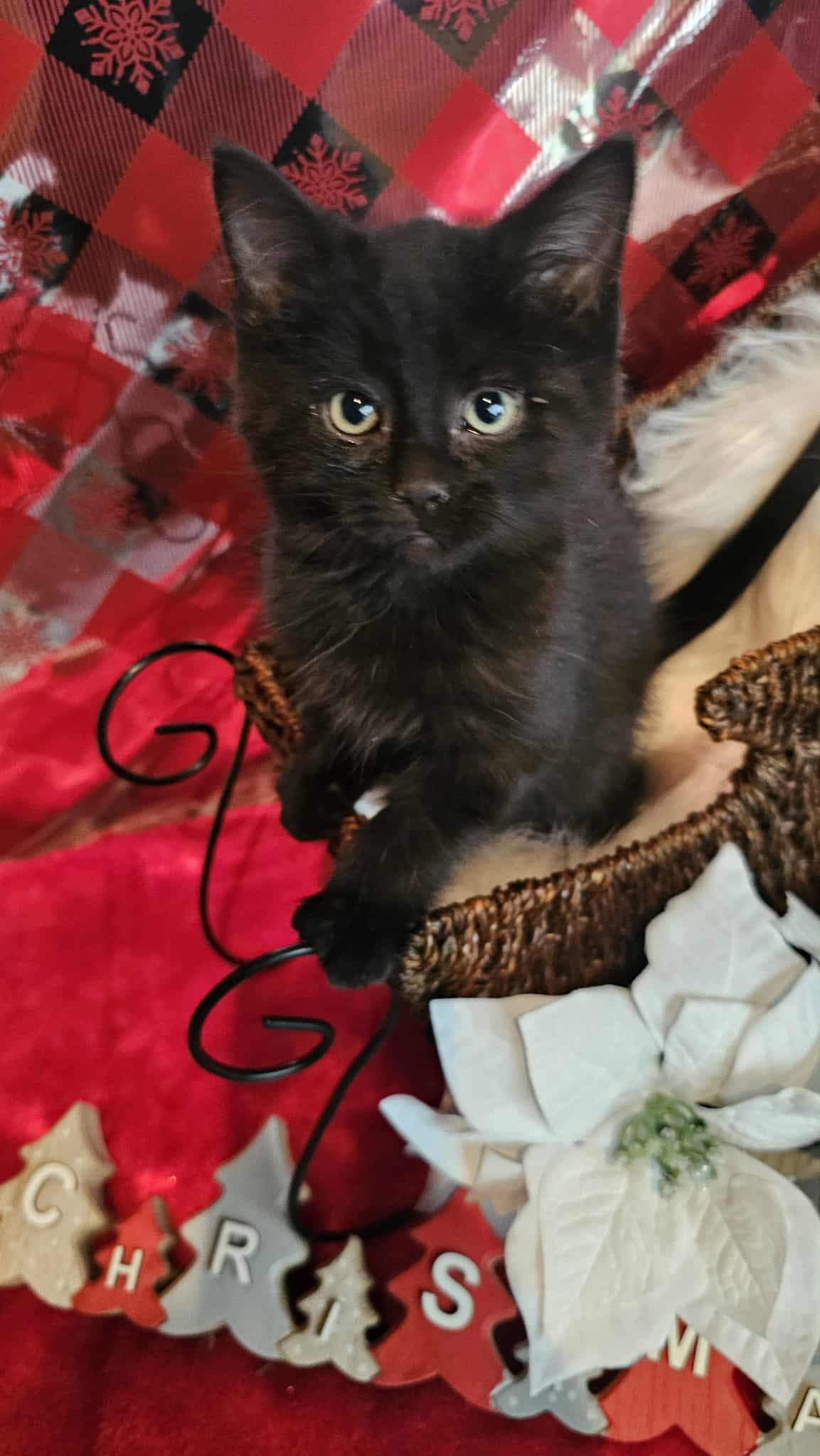 a6512101-a49c-4f85-8c99-e41091f40a18