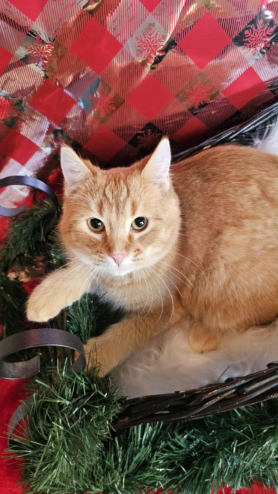 b903bd4e-3ecd-4235-bc72-ca5a4a7b01bc