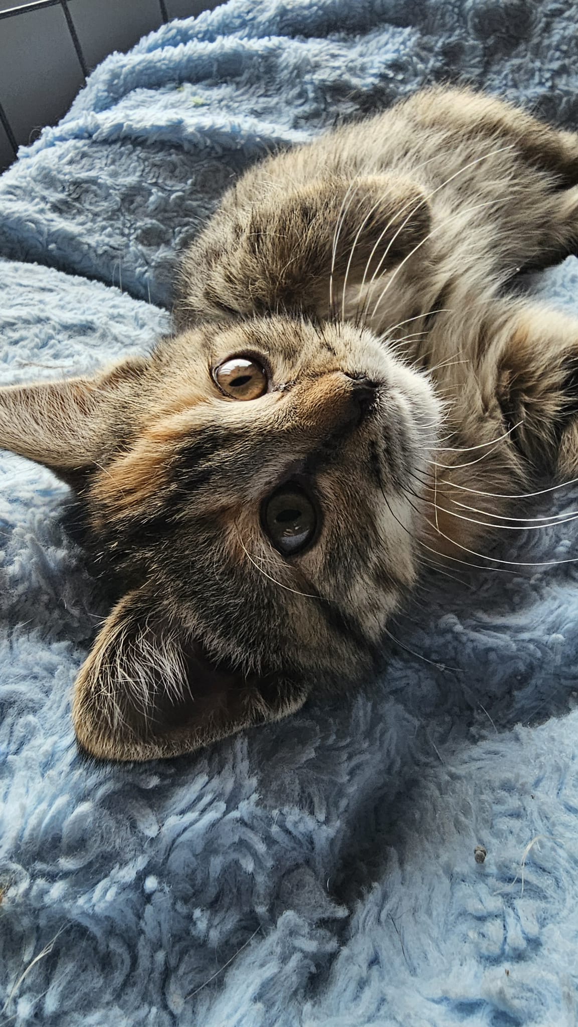 bd06a597-92c2-4393-8974-e043860cfbab