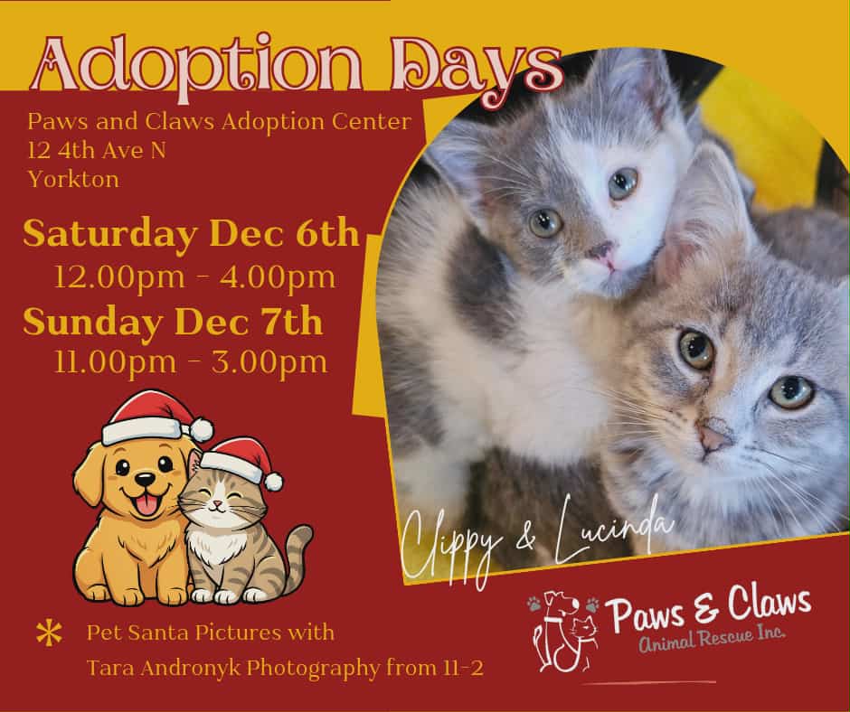 4689d1a8-b473-4b62-97c1-8d8f62a9307a (1)